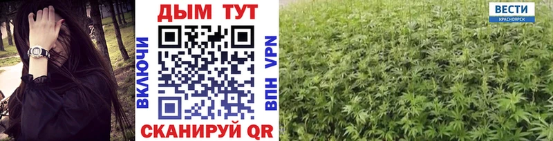 Бошки марихуана Amnesia  Весьегонск 